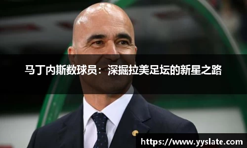 马丁内斯数球员：深掘拉美足坛的新星之路