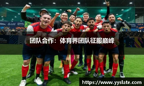 团队合作：体育界团队征服巅峰
